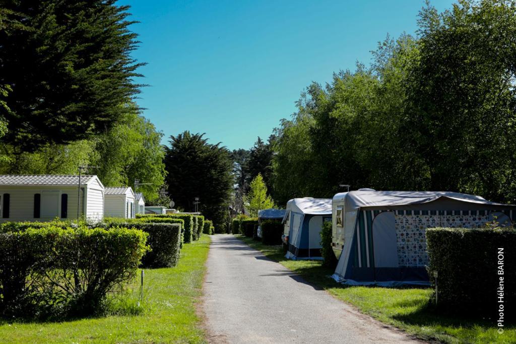 Camping L'Oasis Damgan Exteriör bild